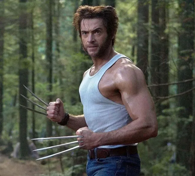 The Wolverine Style